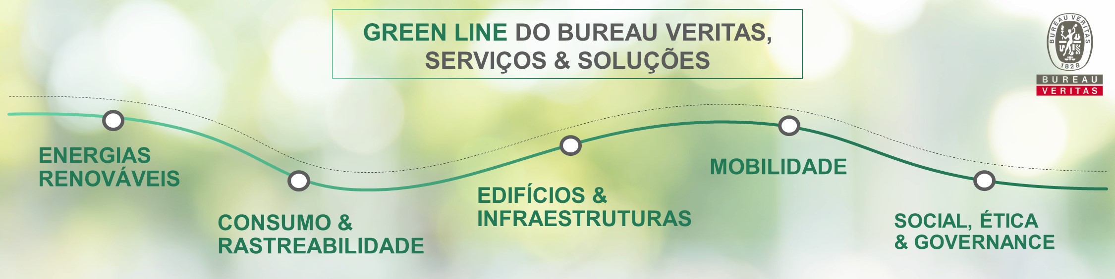 BV Gree line infographic banner-PT_2