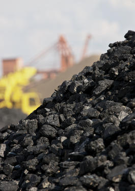 bureau veritas coal industry